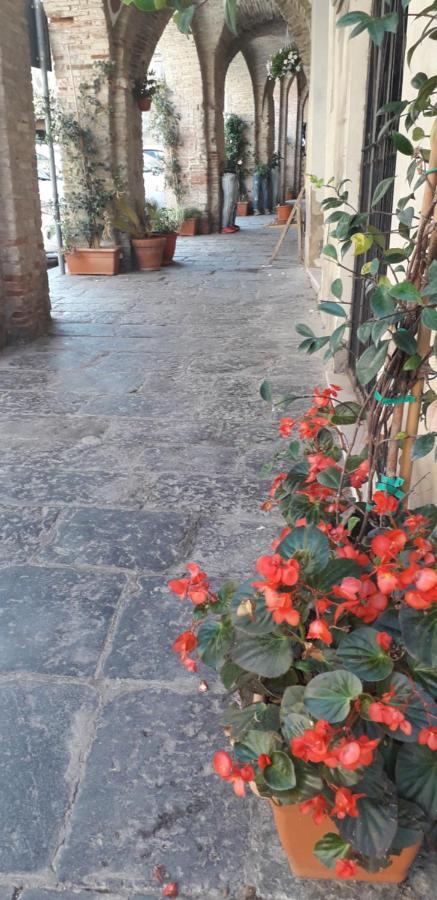 Nenet Panzió Guglionesi Kültér fotó